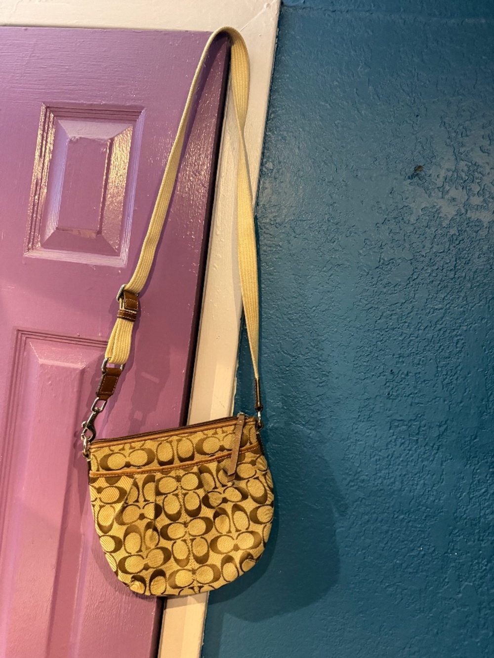Y2K Coach purse
